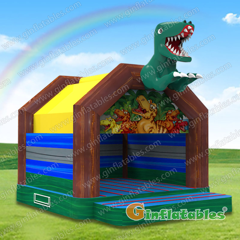 GB-075 Dolphin Bouncer