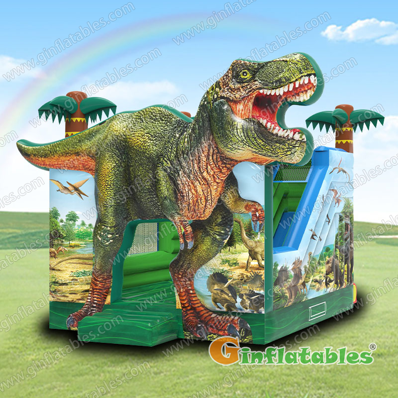 GCO-029 Inflatable Combos