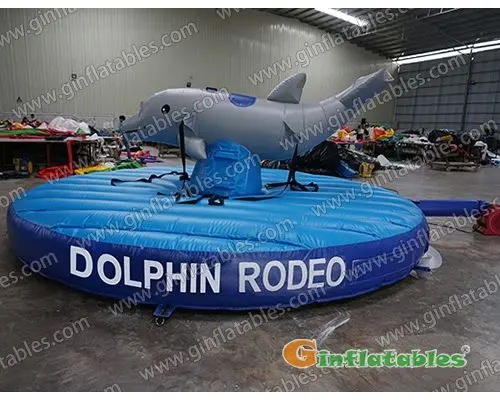 GSP-237 Dolphin riding