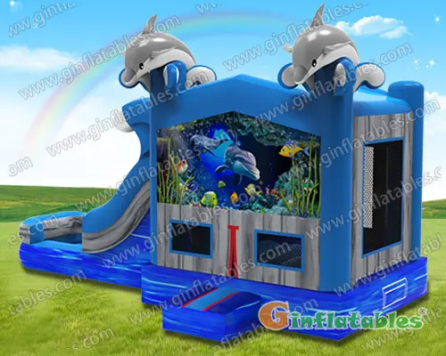 GWC-081 Dolphins  wet/dry combo