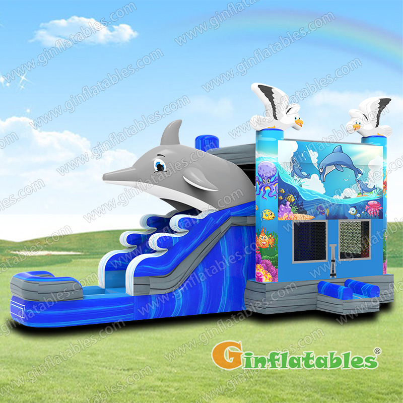 GWC-118 Giant dolphin water combo