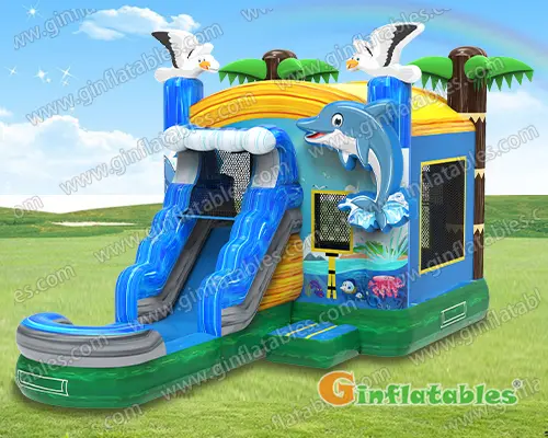GWC-067 dolphin splash wet/dry combo