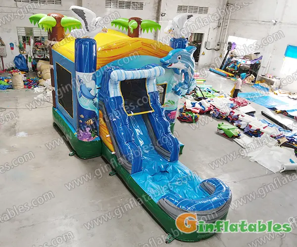 GWC-067 dolphin splash wet/dry combo