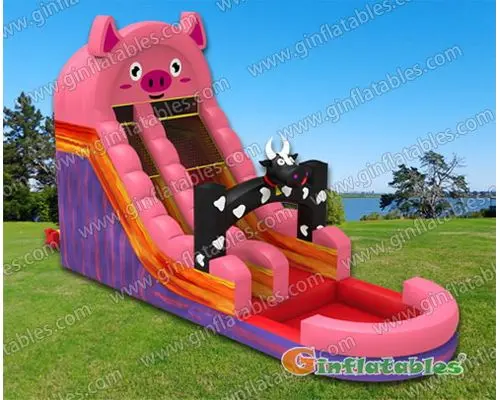 GWS-010 Farm water slide