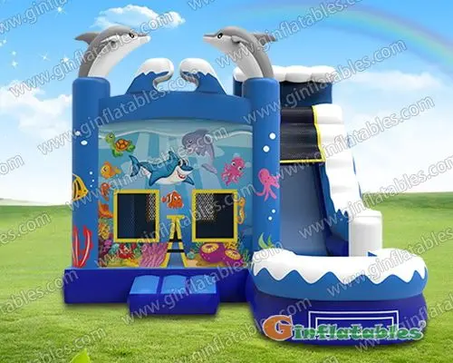 GWS-213 dolphin water combo
