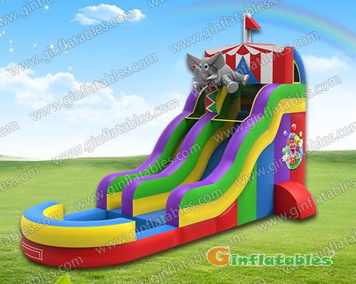 GWS-217 Circus water slide