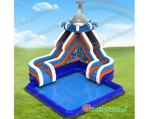 GWS-242 Dolphin water park