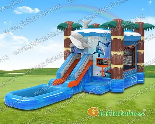 GWS-279 Dolphin combo with pool