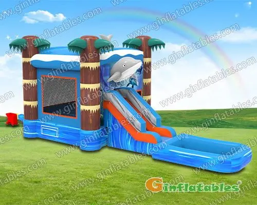GWS-279 Dolphin combo with pool