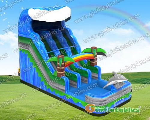 GWS-360 Dolphin wave dual lane slide