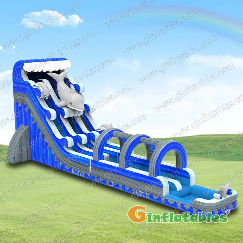 GWS-416 Dolphin dual water slide