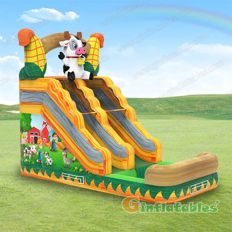 GWS-515 Farm Water Slide