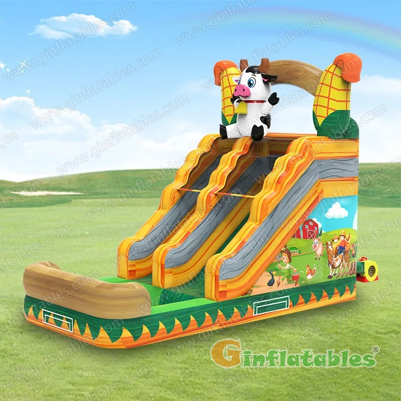 GWS-515 Farm Water Slide