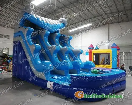 GWS-089 Dolphin wave water slide